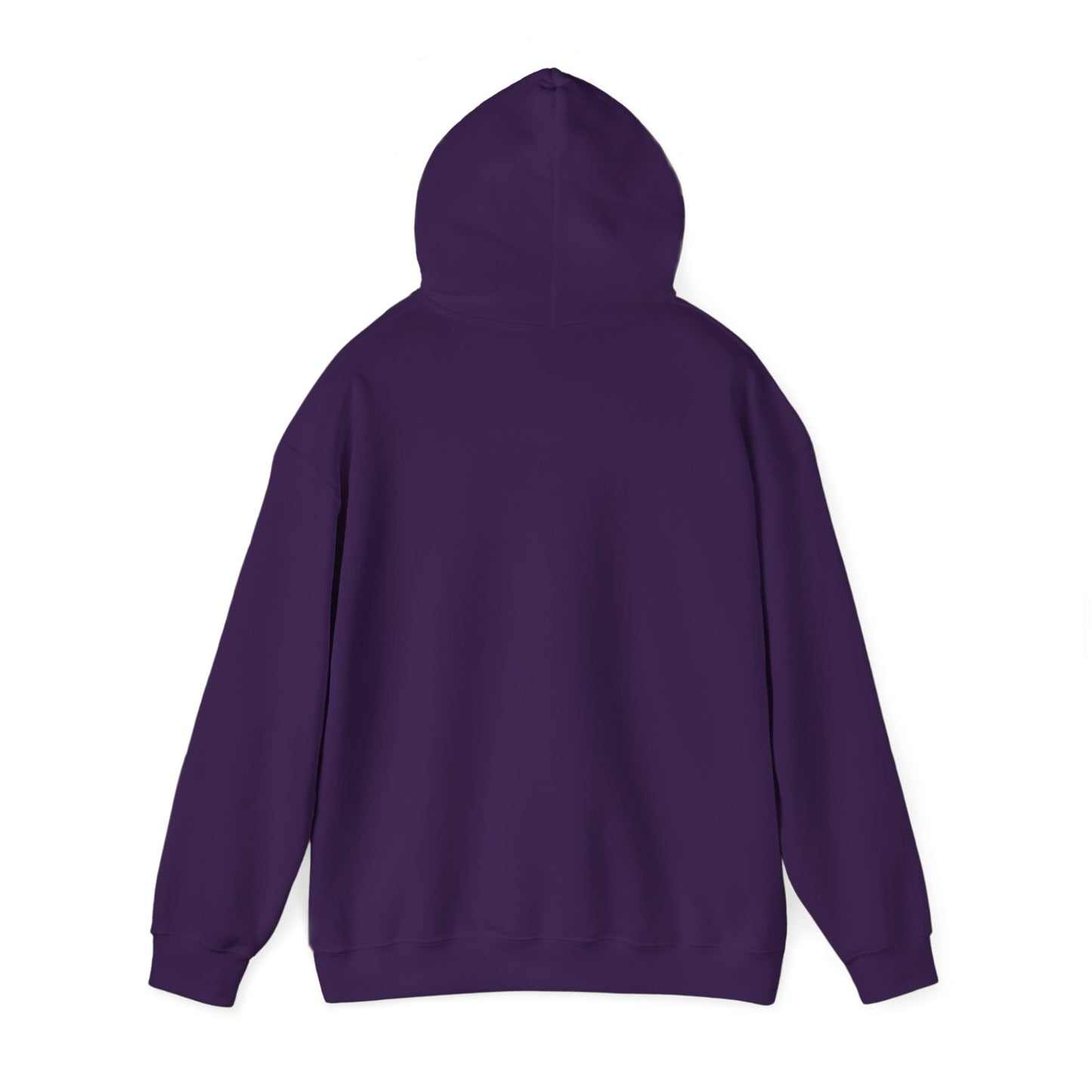 Brain Surgery Survivor Unisex Hoodie Sweatshirt